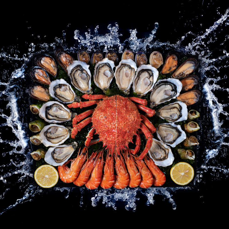 LE CHALUTIER DU "SUD"