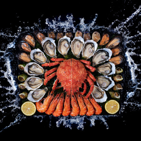 LE CHALUTIER DU "SUD"