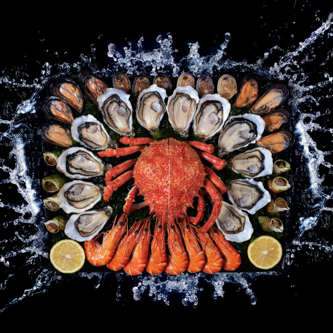 LE CHALUTIER DU "SUD"