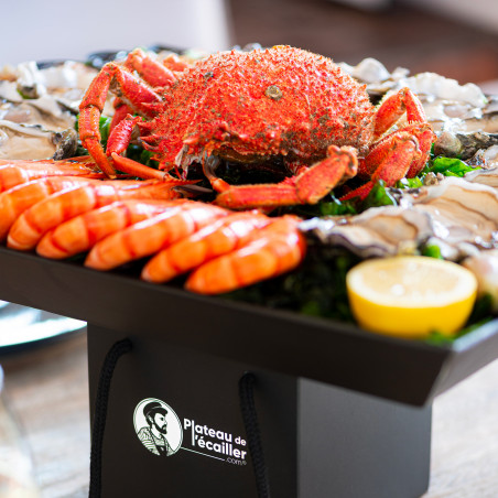 LE CHALUTIER DU "SUD"