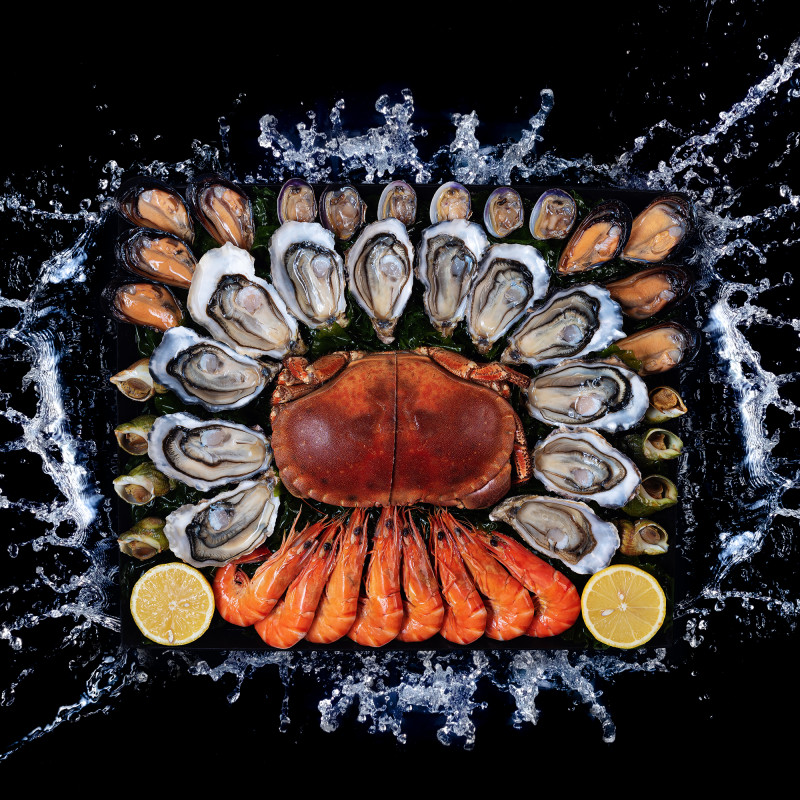 LE ROY RENE DU "SUD"