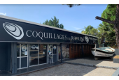 Coquillages du Roy René